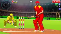 World Cup Cricket Champions 3D Screen Shot 3