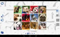 Jigsaw Puzzles Dogs Screen Shot 4