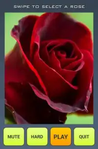 Rose Flower Puzzle Screen Shot 0