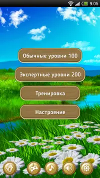 Камни драгоценные игра мыслей Screen Shot 0