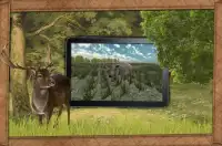 libre de animales cazador 2014 Screen Shot 2