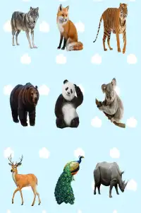 Animal sounds for kids Screen Shot 3