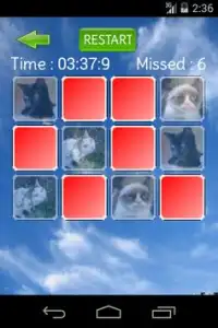 Cute Cat Memory Screen Shot 7