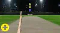 Demo for Baseball and Cricket Batting 3D SL and AI Screen Shot 4