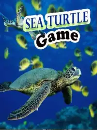 Sea Turtle Game Screen Shot 1