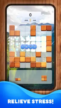Wood Block Puzzle Game Screen Shot 1