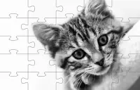 Teka-teki Kucing Jigsaw 🧩🐱🧩🐈🧩 Screen Shot 3