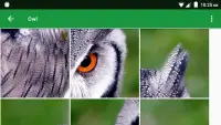 Animaux Sauvages Puzzle Screen Shot 5