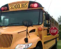 Autobuses escolares Nuevos Rompecabezas Screen Shot 4