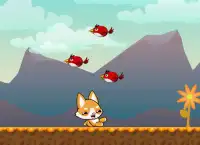Corrida livre aventura - cão correr para a glória Screen Shot 3