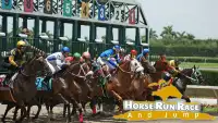Horse Real Racing & Jumping Simulator Game Screen Shot 6