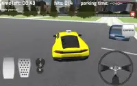 Prado Taxi Driving School 3D Screen Shot 3