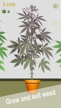 Weed Empire Screen Shot 0