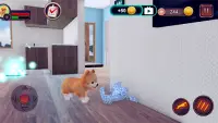 Pomeranian Dog Simulator Screen Shot 5