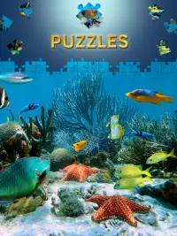 Jeux de puzzle de dauphin Screen Shot 0