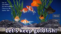 Goldfish 3D Relaxing Aquarium Screen Shot 0