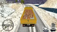 Real Truck Driving Simulator 3D 2021 Screen Shot 3
