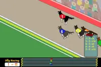Dog Racing Screen Shot 2