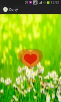Daisy - the love o meter game Screen Shot 2