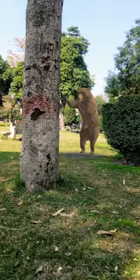 Augmented Reality - Bears in Real World Life Screen Shot 3