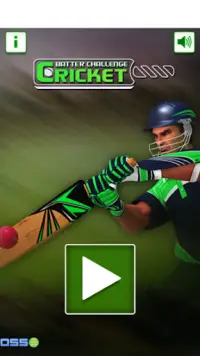 Cricket challenge Game 2020 Screen Shot 0