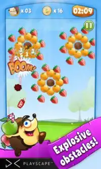 Fruit Story Screen Shot 5