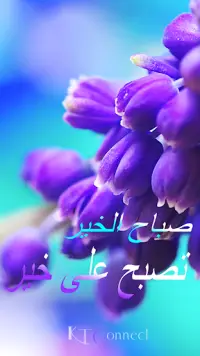 Arabic Good Morning Screen Shot 0