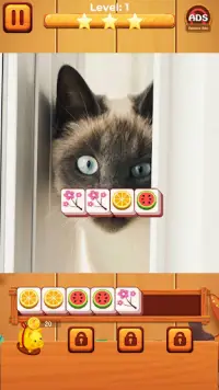 Cat match puzzle: block puzzle Screen Shot 0