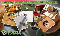 Free Beagle Puzzle Games Screen Shot 1