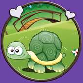 lovely turtle for kids