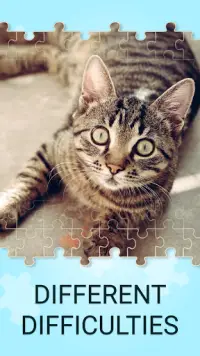 Cute Cats Jigsaw Puzzles Games Screen Shot 5