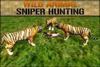 Wild Animals Sniper Hunting 3D Screen Shot 0