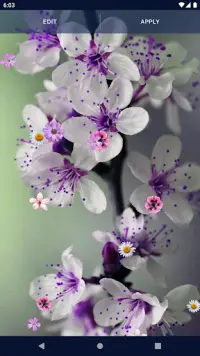 Spring Flowers Live Wallpaper Screen Shot 5