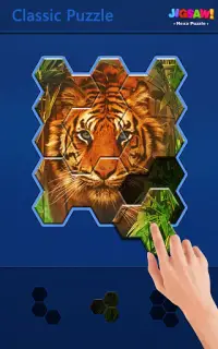 Jigsaw Puzzle - Hexa Block Puzzle Screen Shot 11