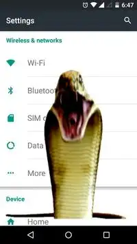 Snake in Phone Screen Shot 9