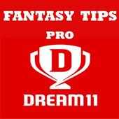 Fantasy Cricket - Dream 11 Tips