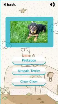 Puppy Dogs Quiz- Guess Popular Breeds Screen Shot 1