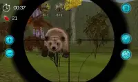 Clássico Sniper caça Simulator Screen Shot 3