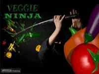 Veggie Ninja Screen Shot 7