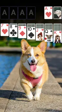Solitaire Lovely Dogs Theme Screen Shot 0