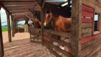 Horse Riding 3D Simulation Screen Shot 3