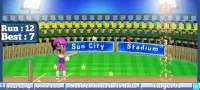Rudra Cricket Game Screen Shot 4