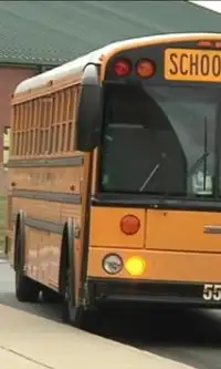 Ônibus escolares Novos quebra-cabeças Screen Shot 2