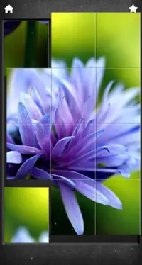 Beautiful Flowers Jigsaw Puzzles Screen Shot 1