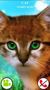 Video gefälschter Anruf Katze Spiel Screen Shot 0