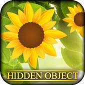 Hidden Object - Peace and Love