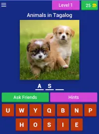 Animals Quiz Game (Learn Filipino Language) Screen Shot 4