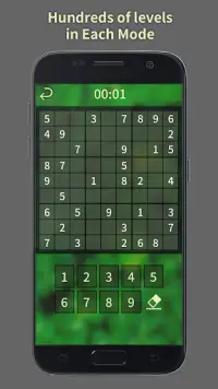 Basic Sudoku Screen Shot 3