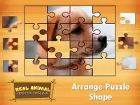 Animal Jigsaw Puzzles DayCare Screen Shot 2