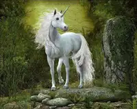 Unicorn Puzzle Screen Shot 1